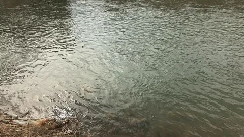 Clean river flow and sky reflections slow-mo Stock Footage 73985134