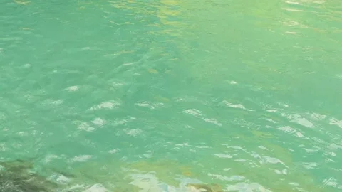 Clean river flow in the rainforest Stock Footage 160796502