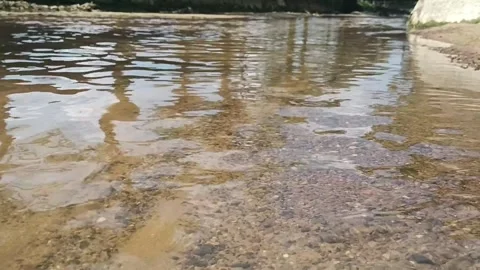 Clean river Stock Footage 245058399