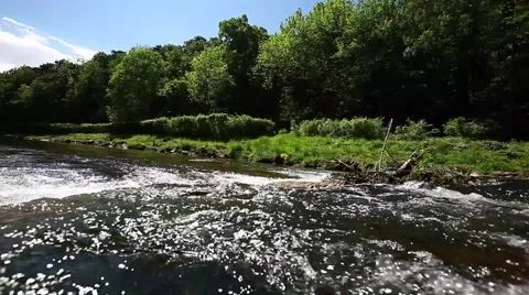 Clean river in forest, Stock Footage 49838026