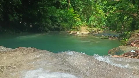 Clean river in forest Stock Footage 242386837