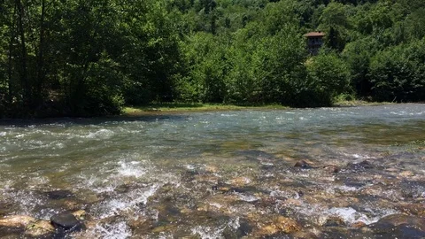 Clean River forest nature Stock Footage 125804012