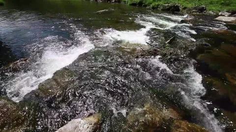 Clean river in forest, stream in green forest,natural water background, Stock Footage 49835788