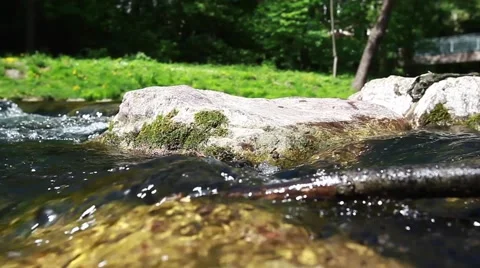Clean river in forest, stream in green forest,natural water background Stock Footage 49836105