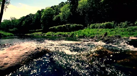 Clean river in forest, stream in green forest,natural water background, Stock Footage 49836550