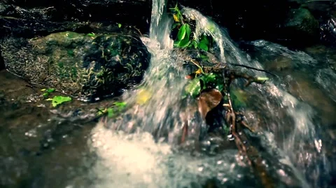 Clean river in forest, stream in green forest,natural water background Video stock 49930558