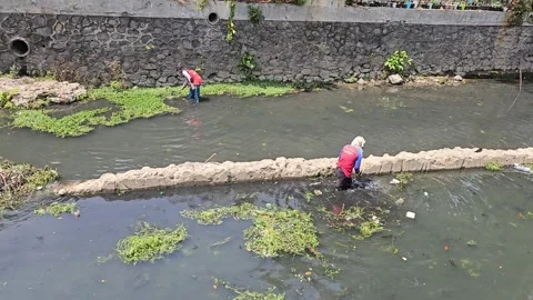 Clean the river in the middle of the city Stock Footage 250177404