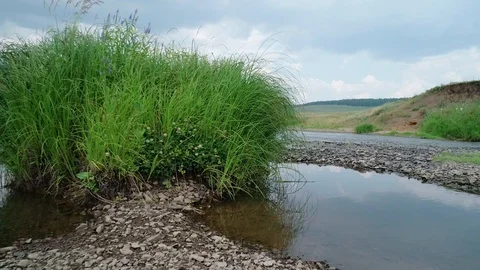 Clean river in nature. Video stock 92482869
