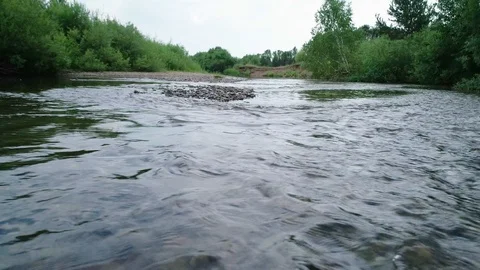 Clean river in nature. Stock Footage 92490242