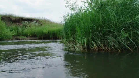 Clean river in nature. Stock Footage 92490290