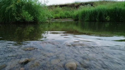 Clean river in nature. Stock Footage 92490309