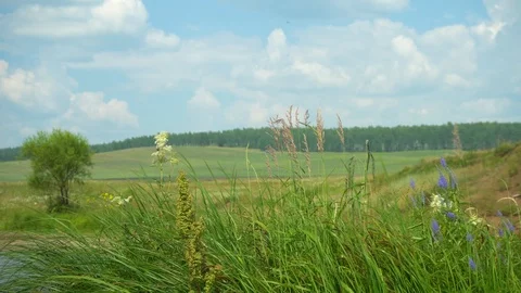 Clean river in nature. Stock Footage 92734685