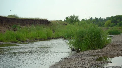 Clean river in nature. Stock Footage 92735129