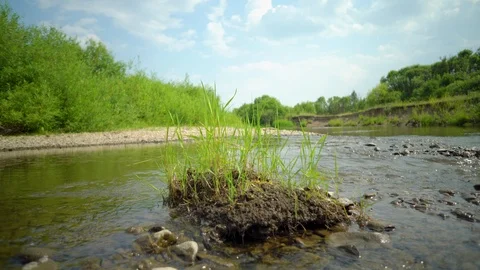 Clean river in nature. Stock Footage 92735171