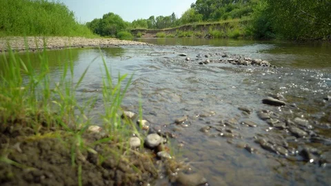 Clean river in nature. Stock Footage 92735199
