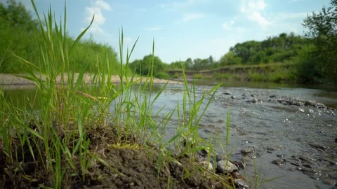 Clean river in nature. Stock Footage 92735295