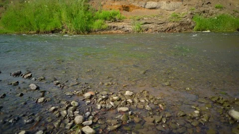 Clean river in nature. Stock Footage 92735346