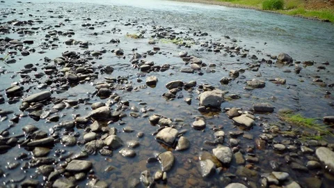 Clean river in nature. Stock Footage 92735403