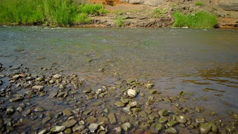 Clean river in nature. Stock Footage 92735511