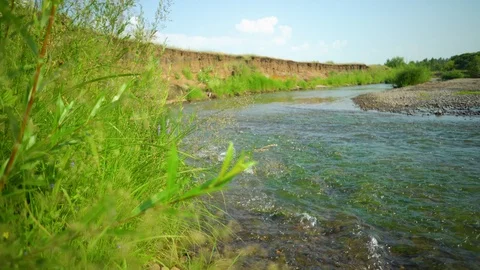 Clean river in nature. Stock Footage 92735564