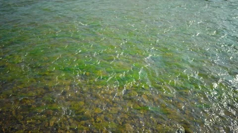 Clean river in nature. Stock Footage 92735586