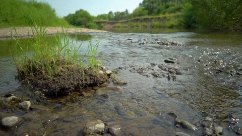 Clean river in nature. Stock Footage 92740391