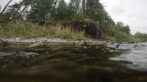 Clean river in nature. Video stock 94225763