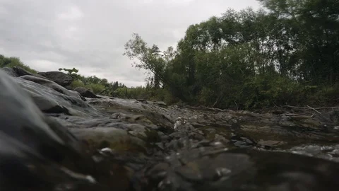 Clean river in nature. Video stock 94225853