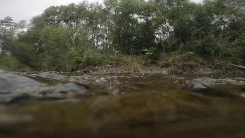 Clean river in nature. Stock Footage 94225902