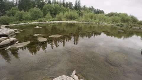 Clean river in nature. Video stock 94225934
