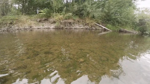 Clean river in nature. Video stock 94319931