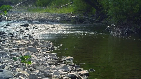 Clean river in nature. Video stock 94521653