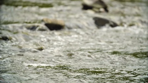 Clean river in nature. Video stock 94521792