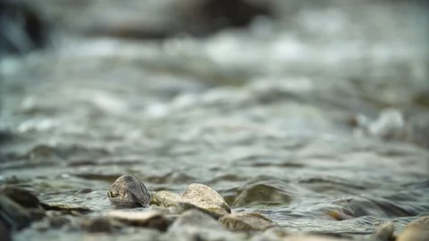 Clean river in nature. Video stock 94521847