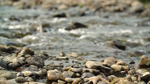 Clean river in nature. Stock Footage 94521864