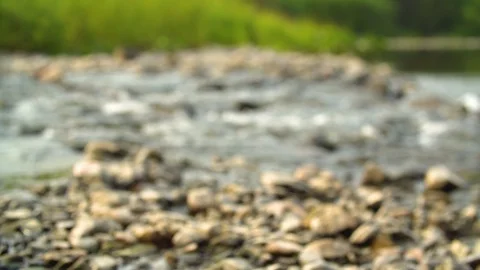 Clean river in nature. Video stock 94521916