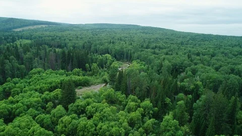 Clean river in nature.  Movement of water in a small country river. Video stock 94373003