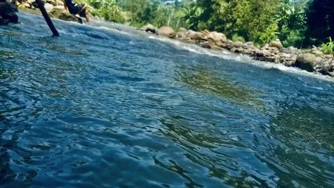 Clean river 스톡 사진