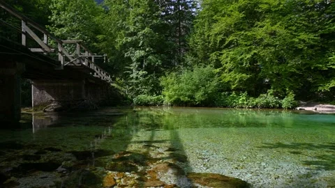Clean river Sava Bohinjka flows in pristine nature Stock Footage 157105491