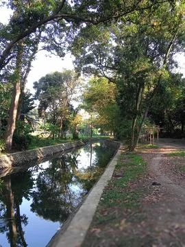 Clean river surrounded by shady trees. Stock Photos