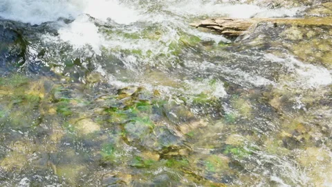 Clean River Water Flowing And Cascading Over Rocks. Pan Across To Shoreline Video stock 200358168