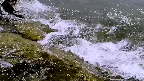 Clean River Water Flowing Through Pristine Natural Landscape Vidéo 339531470