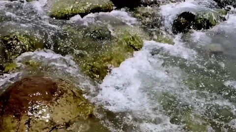 Clean River Water Flowing Through Pristine Natural Landscape Vídeo Stock 339531525