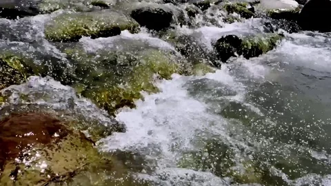 Clean River Water Flowing Through Pristine Natural Landscape Stockbeeldmateriaal 339531549