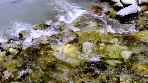 Clean River Water Flowing Through Pristine Natural Landscape Vidéo 339531604