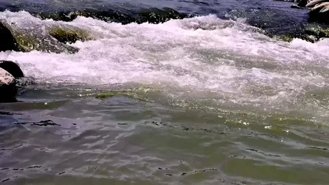 Clean River Water Flowing Through Pristine Natural Landscape 库存影片 339531647