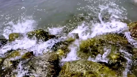 Clean River Water Flowing Through Pristine Natural Landscape Stock Footage 339531654