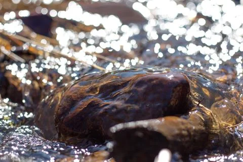 Clean river water flows over the stones and envelops them Stock Photos