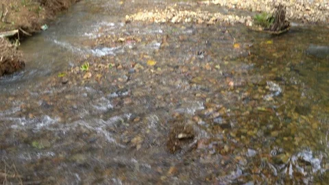 Clean river water Stock Footage 104941492