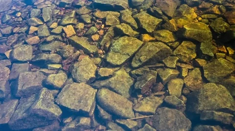 Clean river water. Stones Stock Footage 64317193